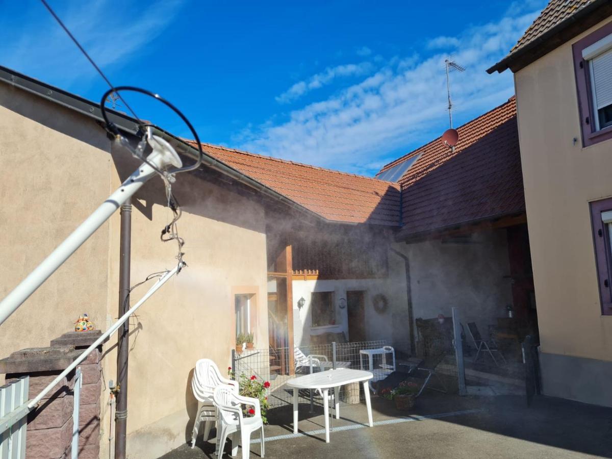 Les Chouchous Du Ried 1 Apartment Saasenheim Exterior photo